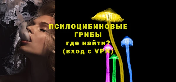 Альфа ПВП Горно-Алтайск