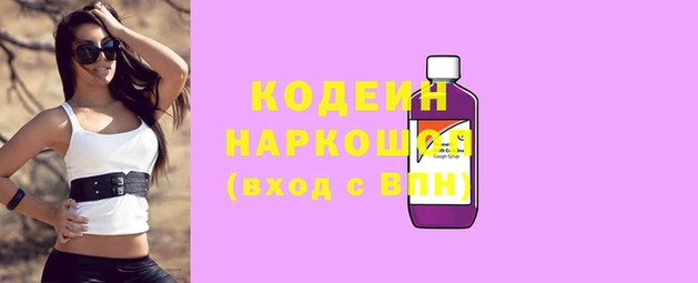 прущий лед Гусев