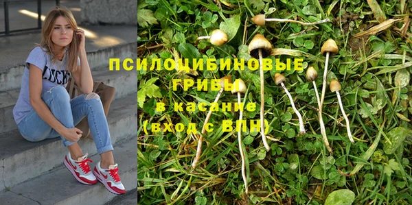 прущий лед Гусев