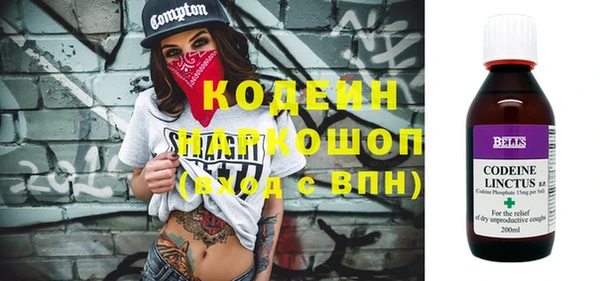 прущий лед Гусев