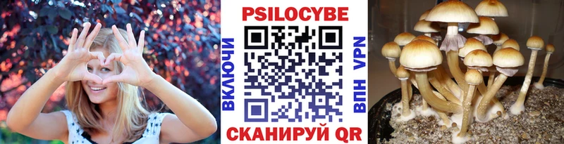 Галлюциногенные грибы Psilocybine cubensis  Купить  Константиновск 